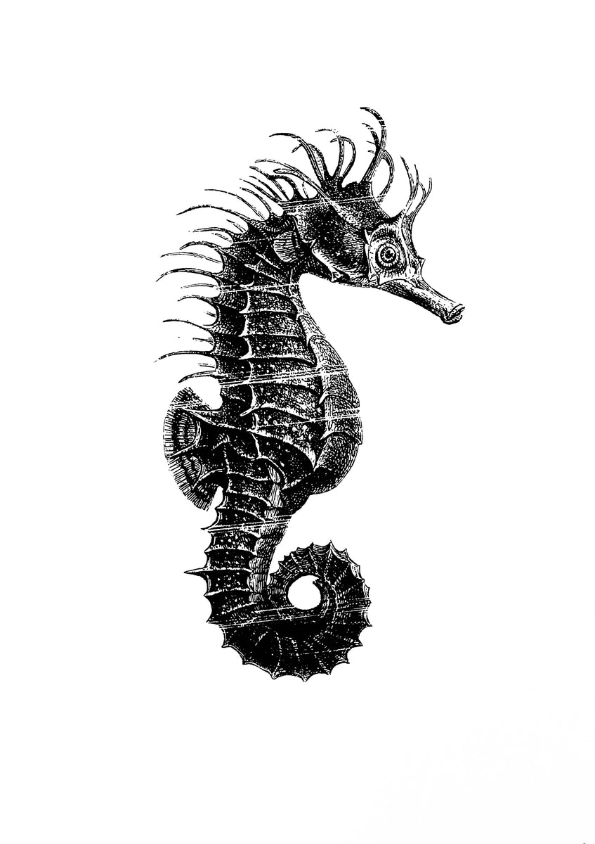 Seahorse Print – Handdruck