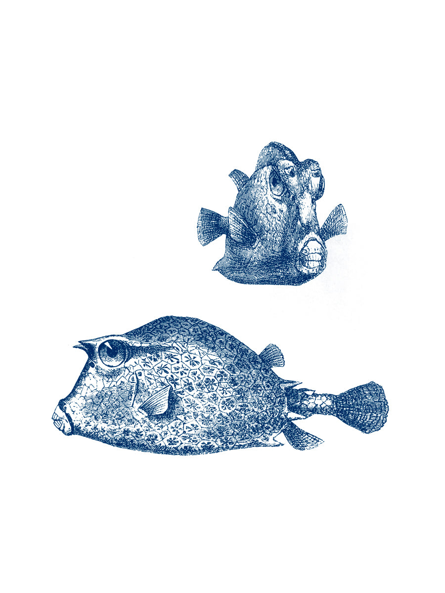 Boxfish Print – Handdruck