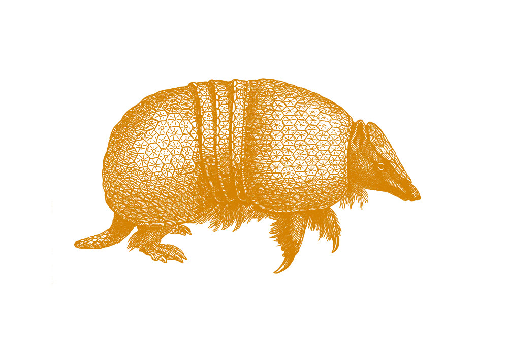 Armadillo Print – Handdruck