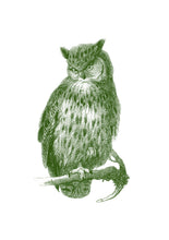 Load image into Gallery viewer, Eagle-Owl Print