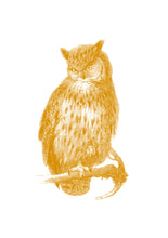 Load image into Gallery viewer, Eagle-Owl Print