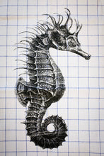 Load image into Gallery viewer, Seahorse Kitchen Towel