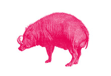 Load image into Gallery viewer, Babirusa Pig Print