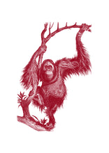 Load image into Gallery viewer, Orangutan #1 Print