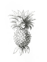 Load image into Gallery viewer, ananas fruit woodcarving 1800s old-book siebdruck screen-print handdruck botanic vintage