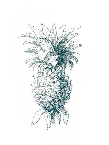 Ananas Print