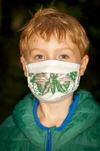 Kids butterfly face-mask