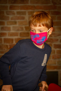 Kids kiwis face-mask