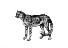 Load image into Gallery viewer, leopard cheeta zoology woodcarving vintage books 1800s siebdruck screenprint handdruck