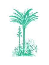Load image into Gallery viewer, palms botanic vintage 1800s biology books siebdruck screen-print handdruck