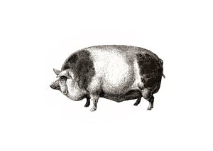 Pig farm animal screenprinting siebdruck woodcarving handdruck