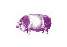 Load image into Gallery viewer, Pig farm animal screenprinting siebdruck woodcarving handdruck