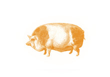 Load image into Gallery viewer, Pig Print