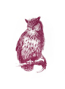 owl uhu birds zoology vintage books woodcarving siebdruck screen-print handdruck 