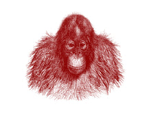 Load image into Gallery viewer, Baby Orangutan Print