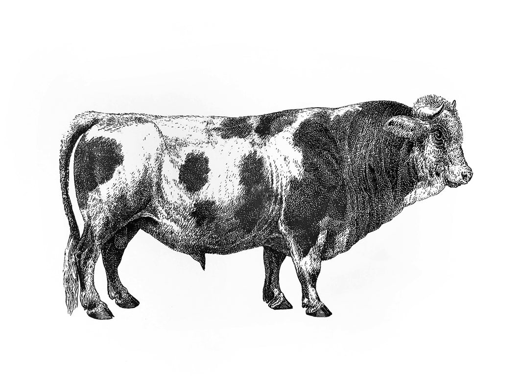 farm animal meat woodcarving 1800s books siebdruck handdruck screen-print