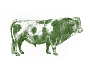 Bull Print