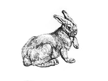Load image into Gallery viewer, farm animal bunny rabbit woodcarving 1800s zoology books siebdruck handdruck screen-print