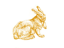 Load image into Gallery viewer, farm animal bunny rabbit woodcarving 1800s books siebdruck handdruck screen-print