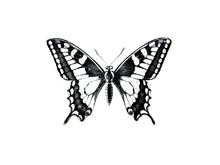 Load image into Gallery viewer, Butterfly #2 Print