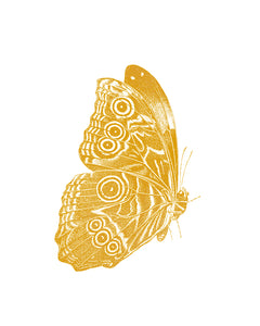 Butterfly-profile Print