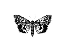 Load image into Gallery viewer, Moth Print