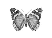 Load image into Gallery viewer, Butterfly Print