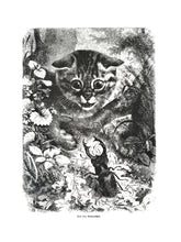 Load image into Gallery viewer, Wild Cat Print