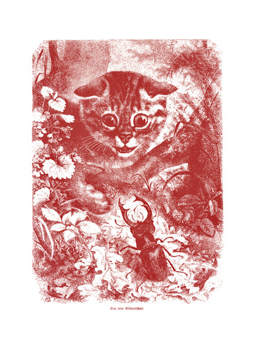 Wild Cat Print