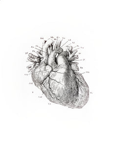 Heart Print
