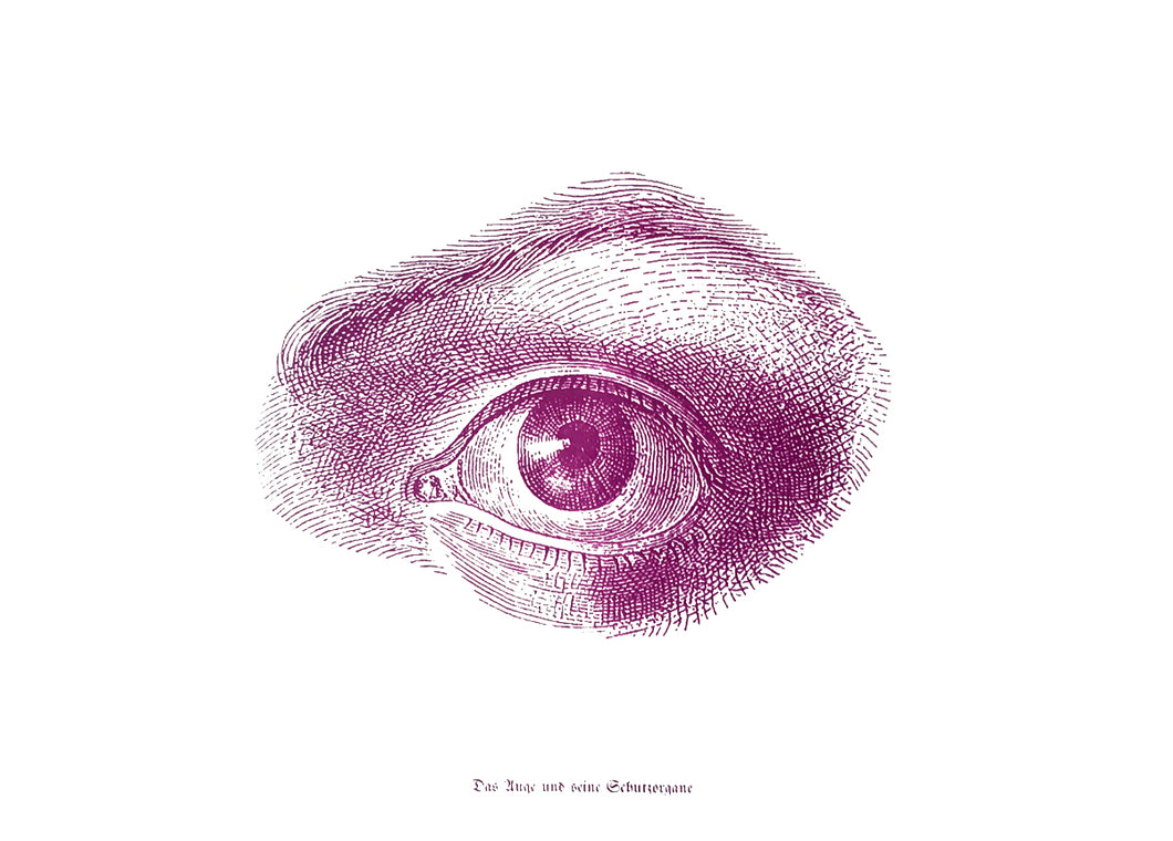 eye human-body anatomy medicine illustration vintage siebdruck screen-print HQ
