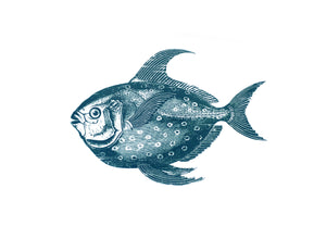 Ritter Fish Print