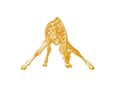giraffe zoology woodcarving vintage books 1800s siebdruck screenprint handdruck