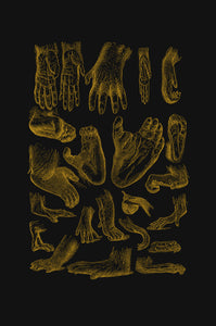 Chimp Hand-study's Print
