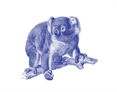 Koala Print