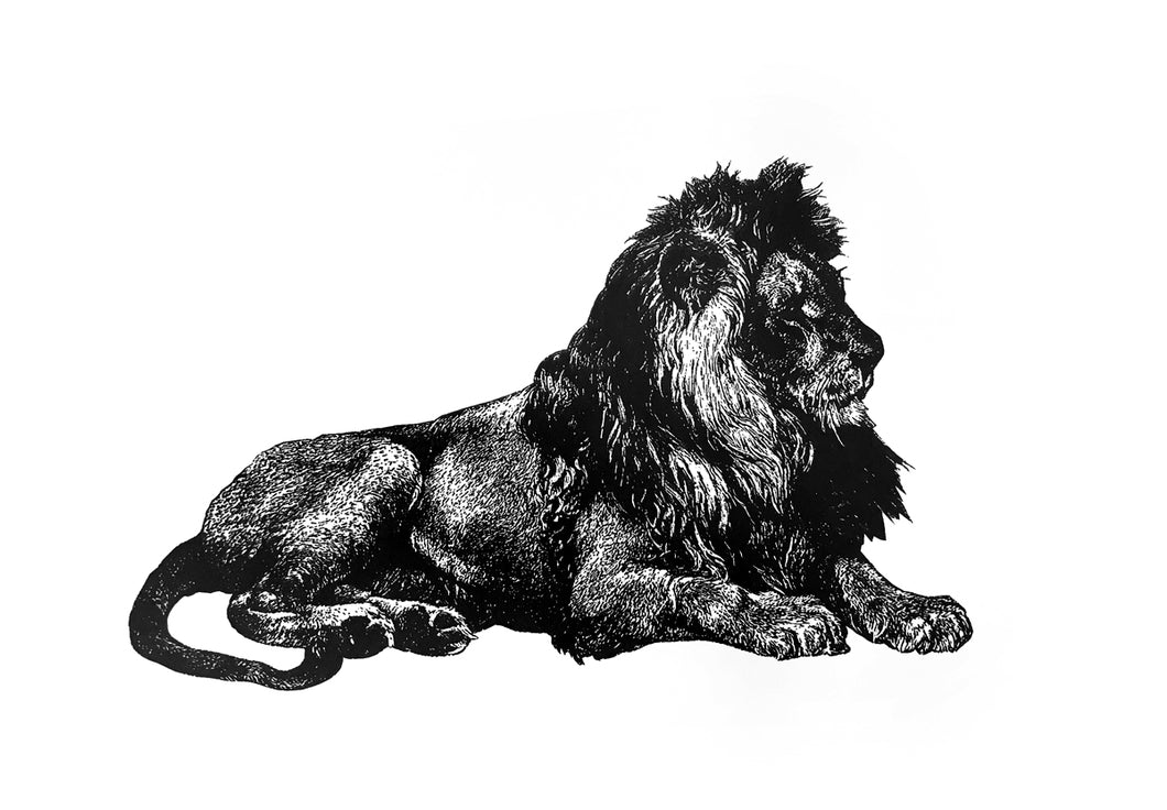 lion zoology woodcarving vintage books 1800s siebdruck screenprint handdruck