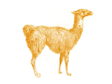 Load image into Gallery viewer, llama animal woodcarving 1800s books siebdruck handdruck screen-print