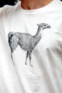 Llama Tshirt