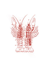 Load image into Gallery viewer, lobster zoology marine biology 1800s woodcarving screen-print siebdruck handdruck