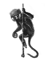 Load image into Gallery viewer, monkeys vintage zoology books woodcarving siebdruck screen-print handdruck jane-goodall primates