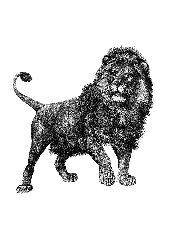 Lion – Handdruck