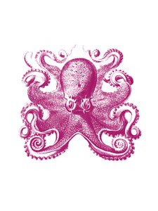 krake octopus zoology marine biology 1800s woodcarving screen-print siebdruck handdruck