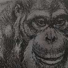 Load image into Gallery viewer, Orangutan #2 Tshirt