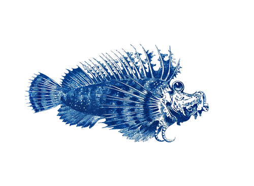 fishes vintage illustration woodcarving zoology siebdruck screen-print handdruck