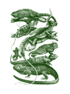 Reptiles Print