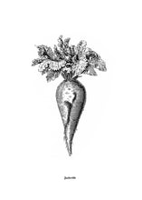 Load image into Gallery viewer, botanic vintage siebdruck screen-print old-book 1800s vegetables