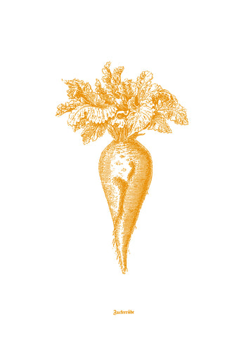 botanic vintage siebdruck screen-print old-book 1800s vegetables