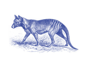Tasmanian-Tiger Print