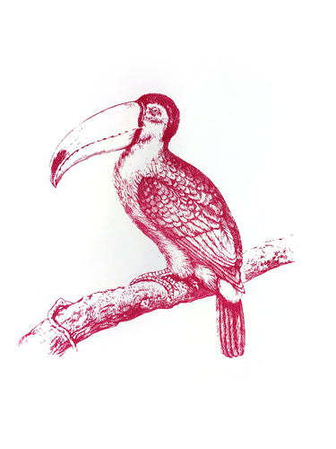 birds zoology vintage books woodcarving siebdruck screen-print handdruck