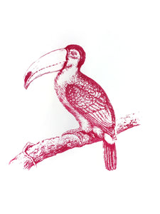 birds zoology vintage books woodcarving siebdruck screen-print handdruck